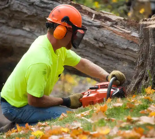 tree services Rockingham